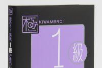 極めろ！英検 1級リーディング